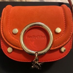 Gorgeous mini leather chloe bag